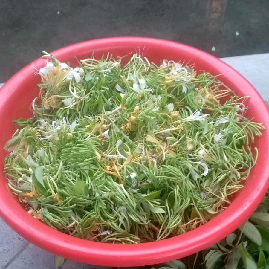 用户2382394788610