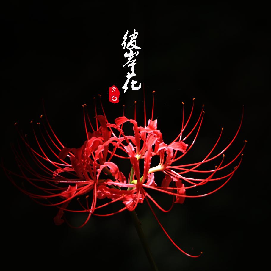 留情！！！