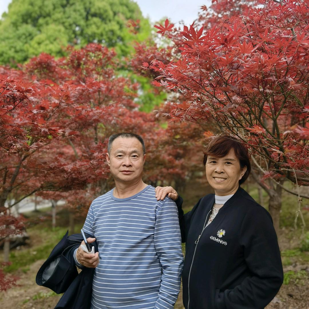 知识的海洋