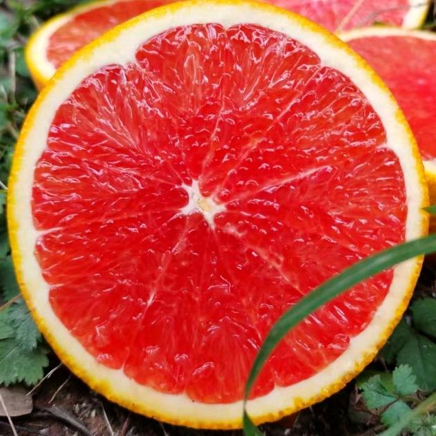 张先森石灰橙甄选