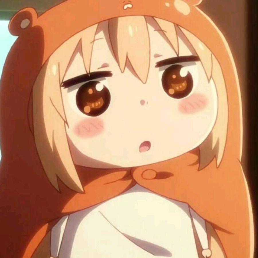 雷诺tz