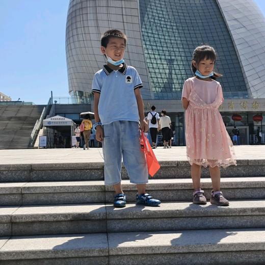 上海景观绿化苗木移植工程机械租凭