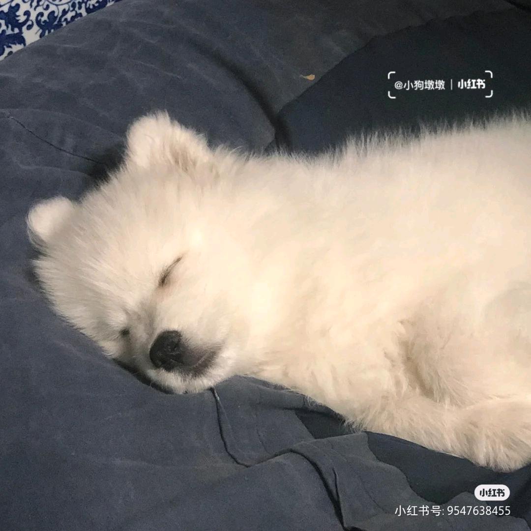 冰箱里有很多好吃的水果