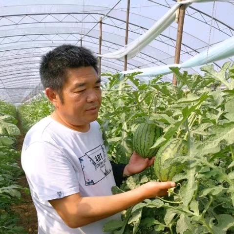 尉氏县盛之丰农业服务中心