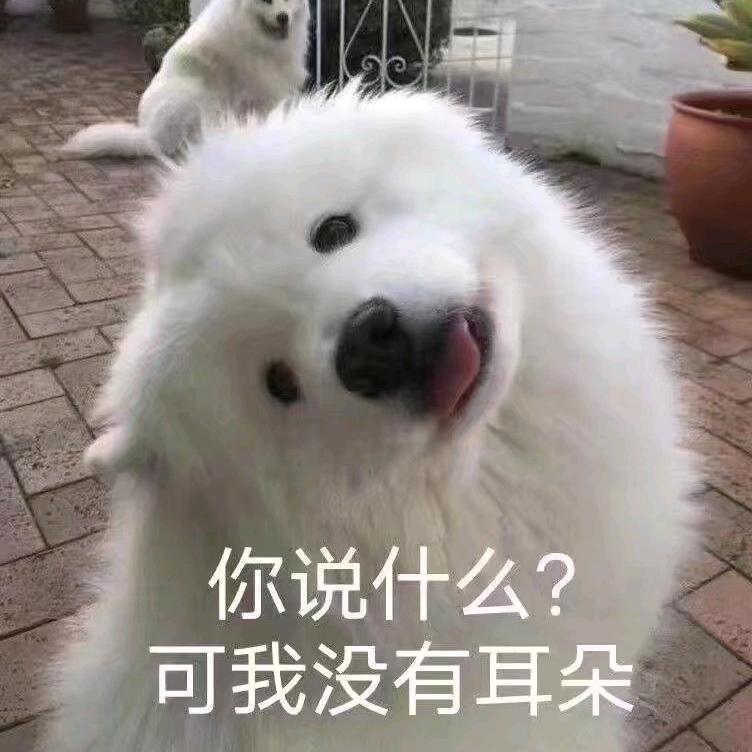 芋圆予愿分不清了喔