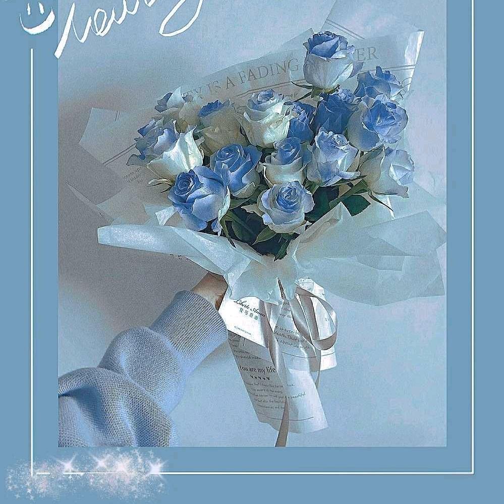 加洛林窗帘（永州）