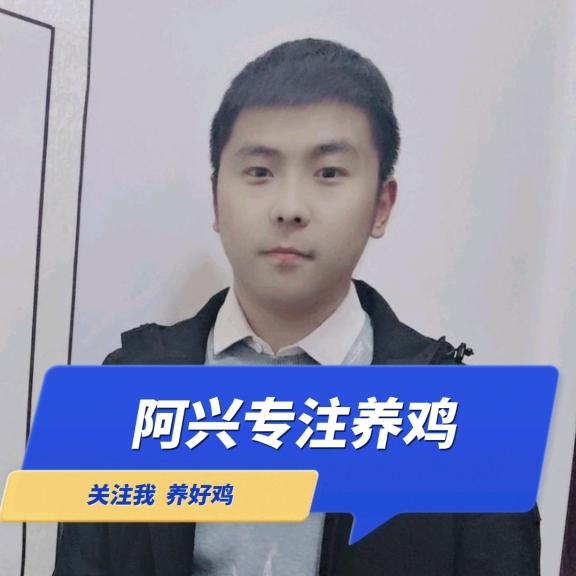 阿兴养鸡妙招