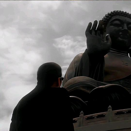 a.李海龙（专业育苗）