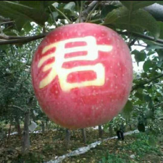 火炎焱燚榮