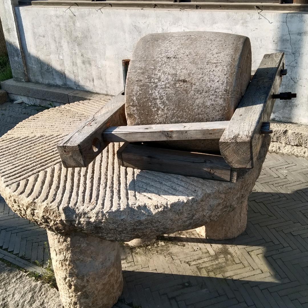 羡慕许仙有个白蛇