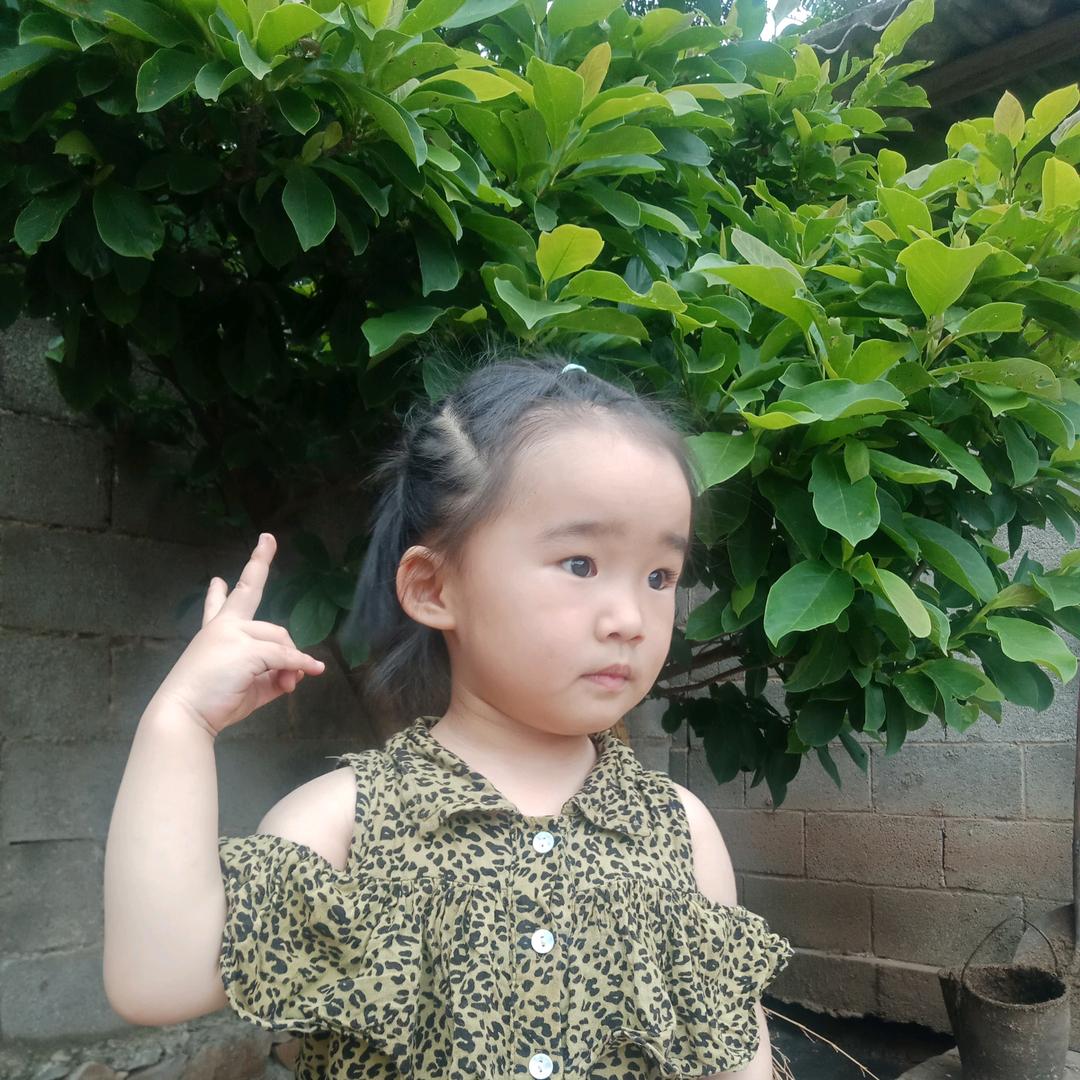 快乐的小星星✨