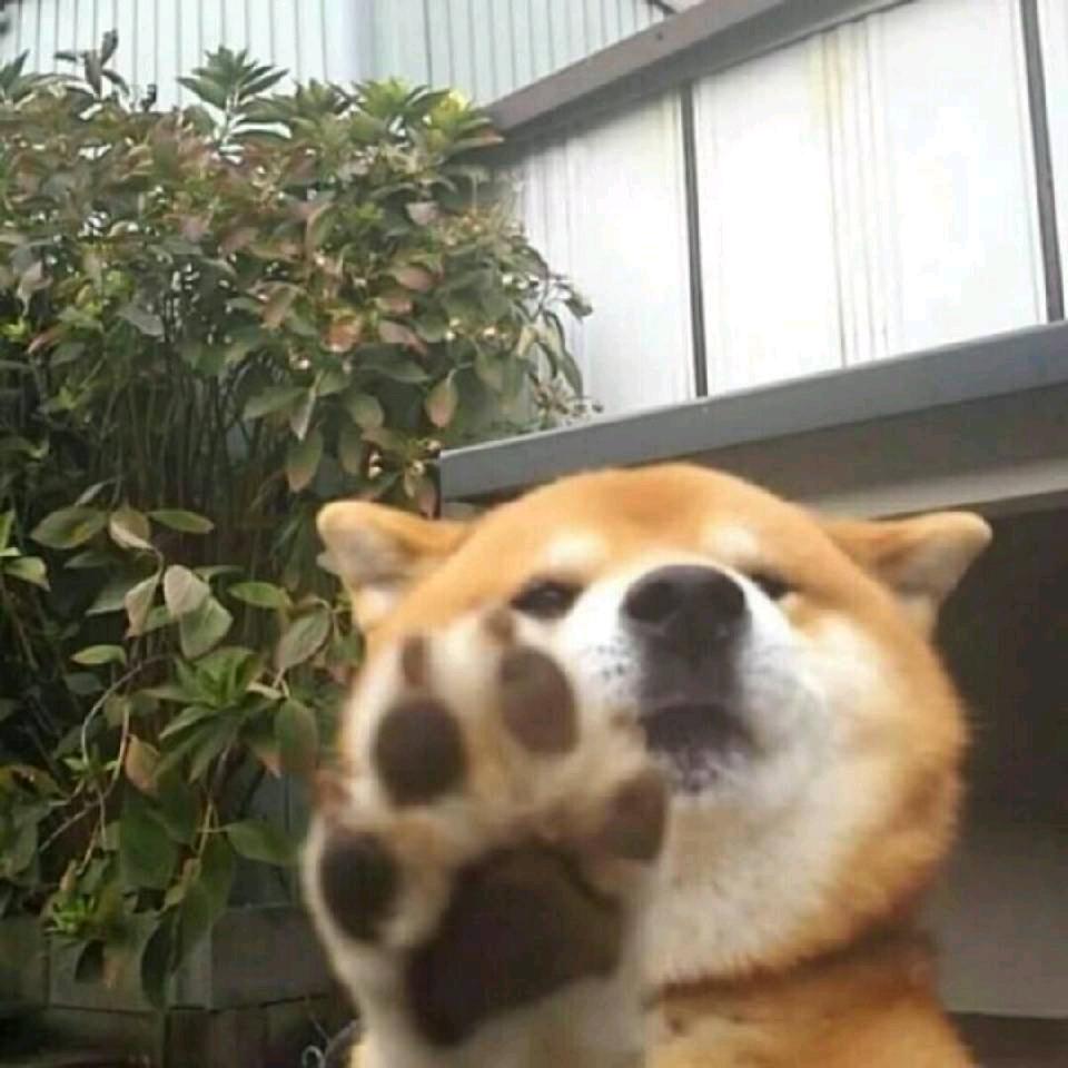 蛋黄焗饭