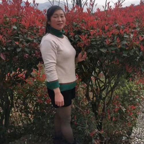 晨曦的露水👠👠👢👢👟?