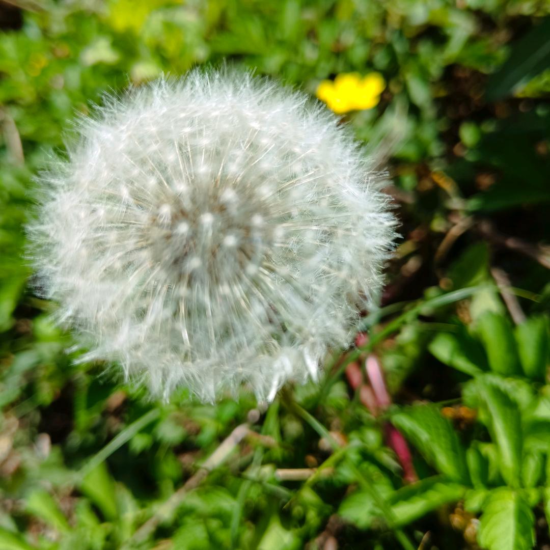 生活要努力😊感恩！
