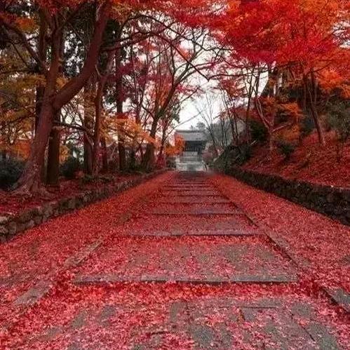 执着