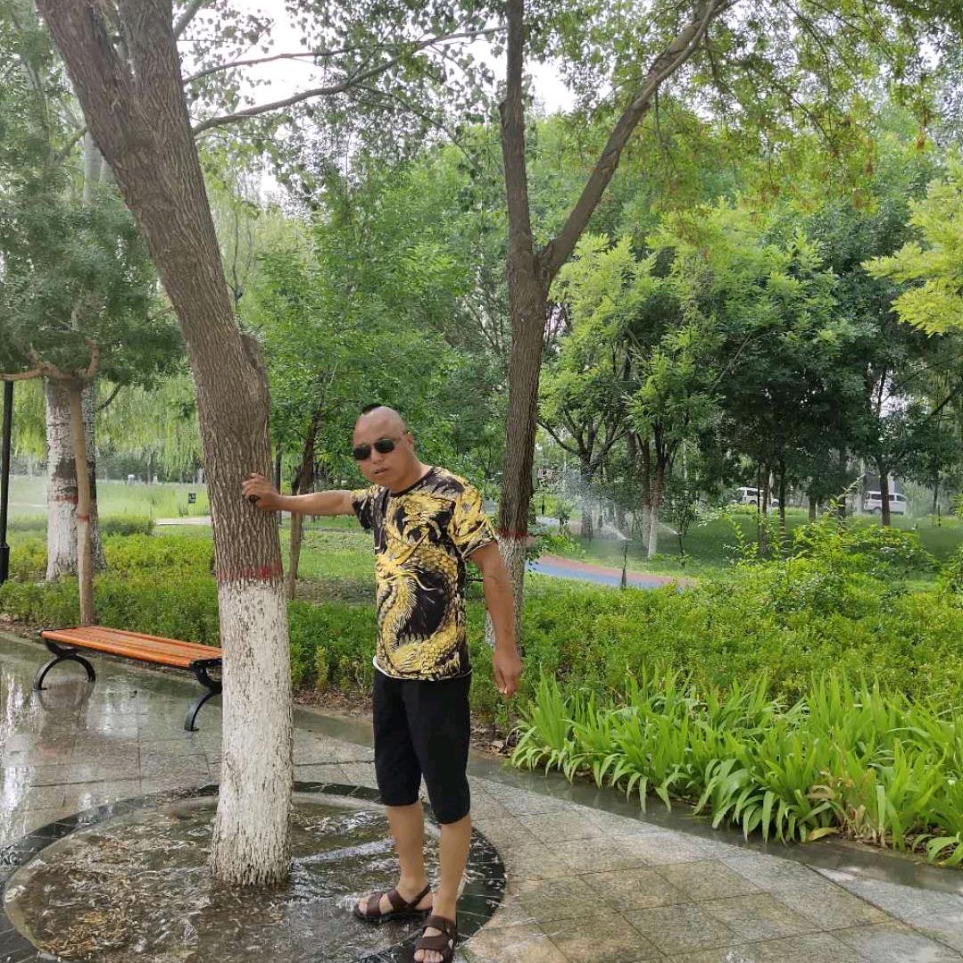 天涯雄鹰