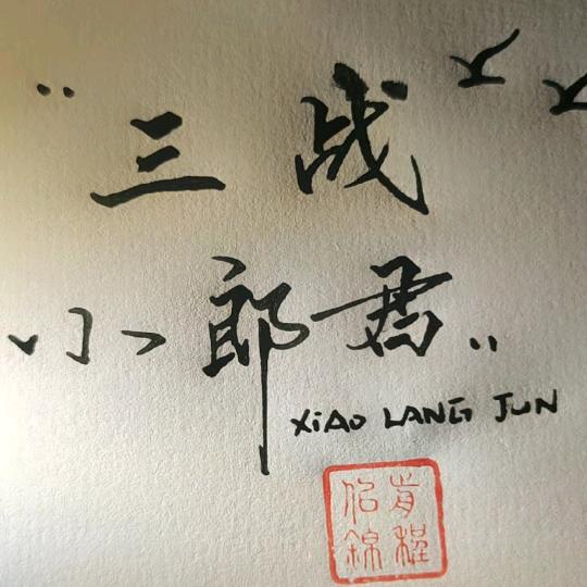 三战小郎君