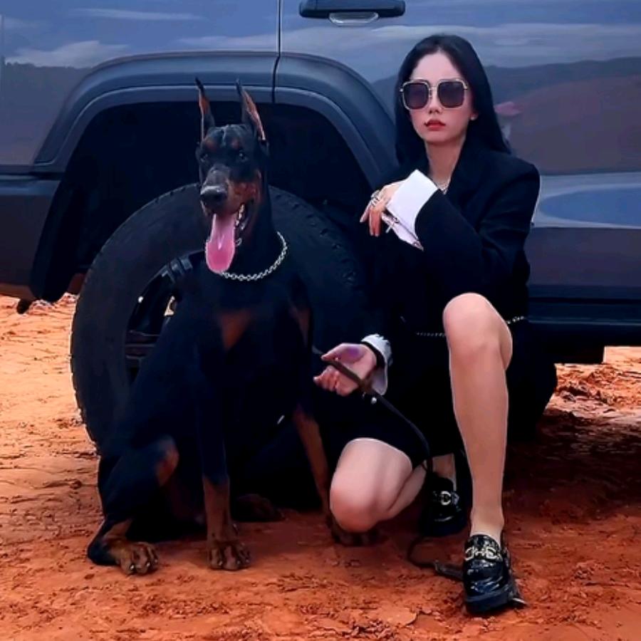南京拉风杜宾犬舍