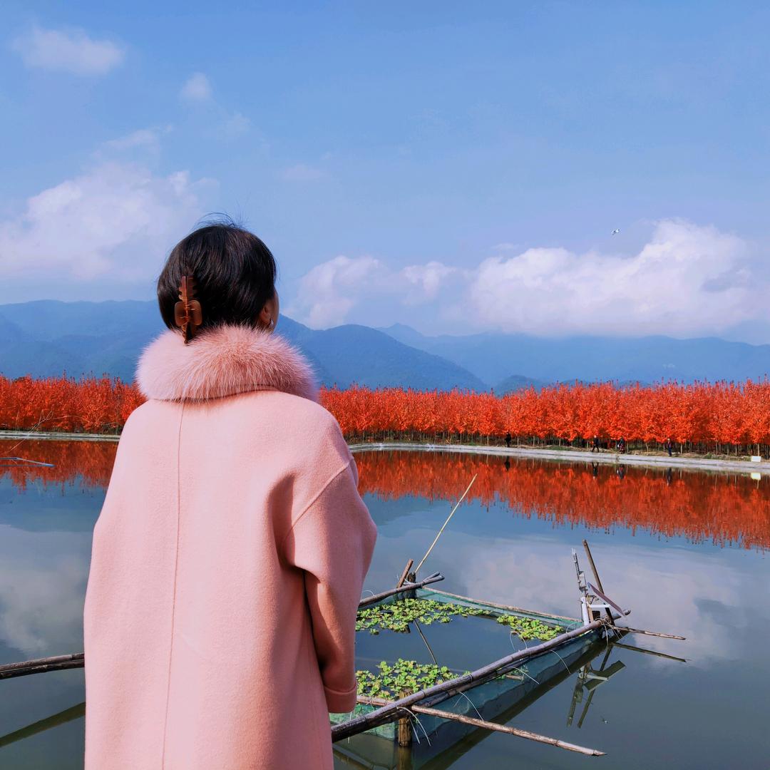 酒酿小袁子