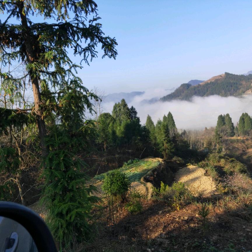 二姐的乡村生活