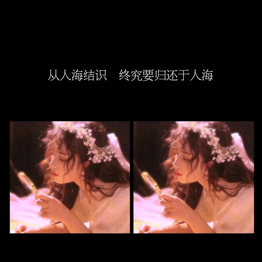 -终归还人海