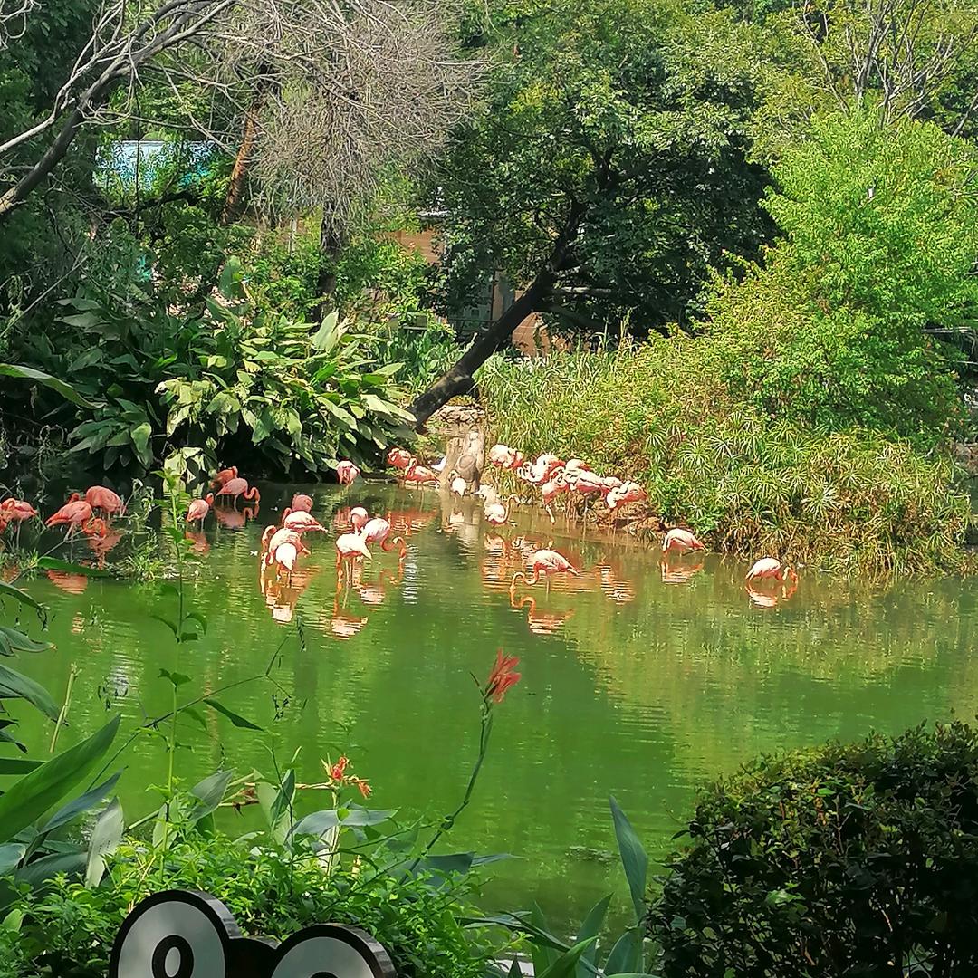 小秋秋