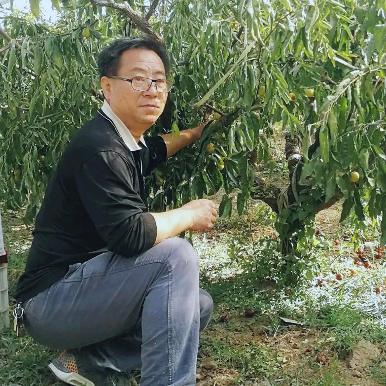 枣健康 真社缘  丁亚武