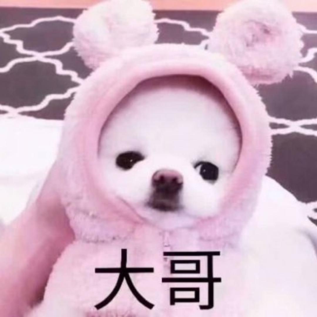 孤独撑舟人