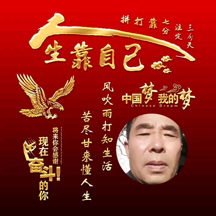龙的传人