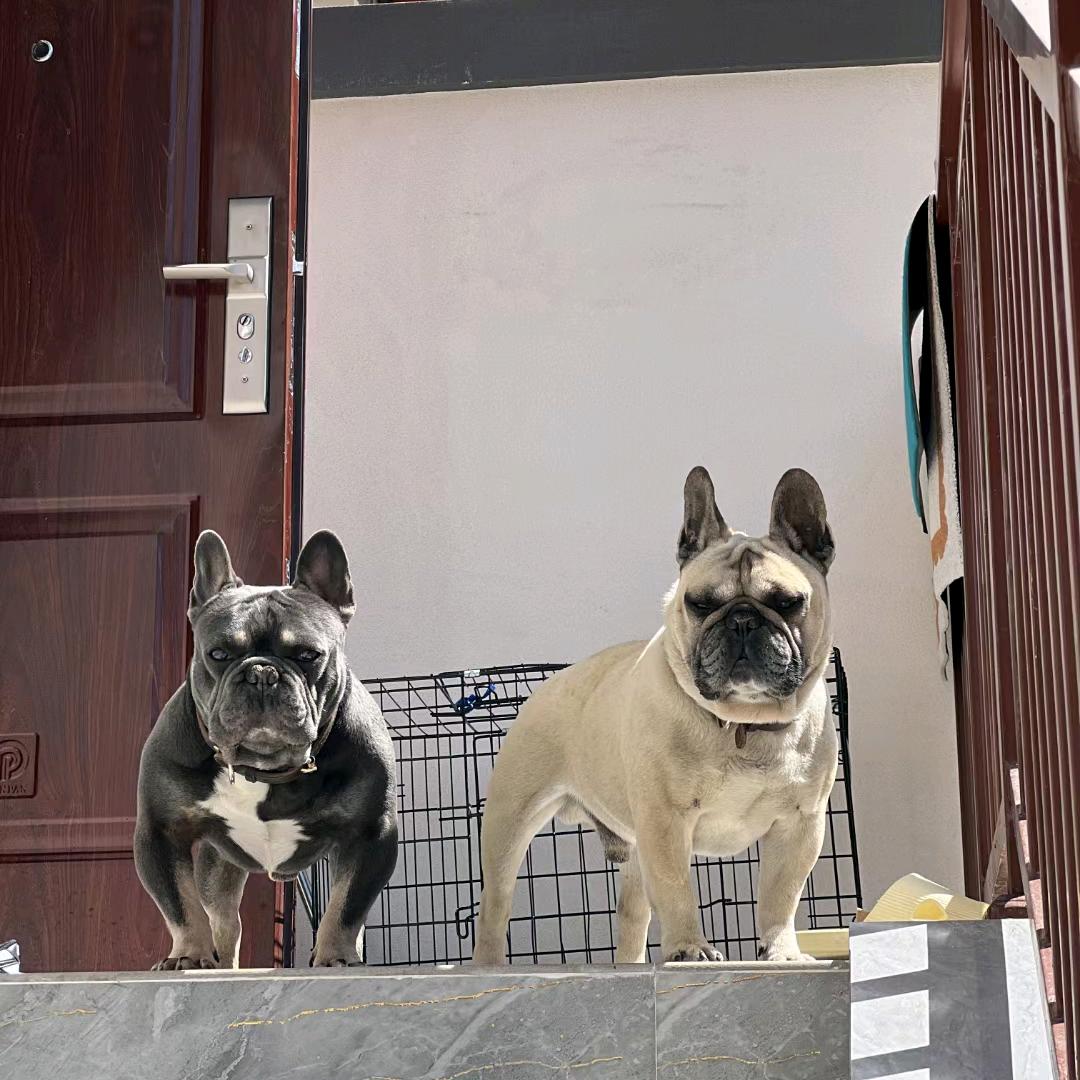 7快乐人生郑1867