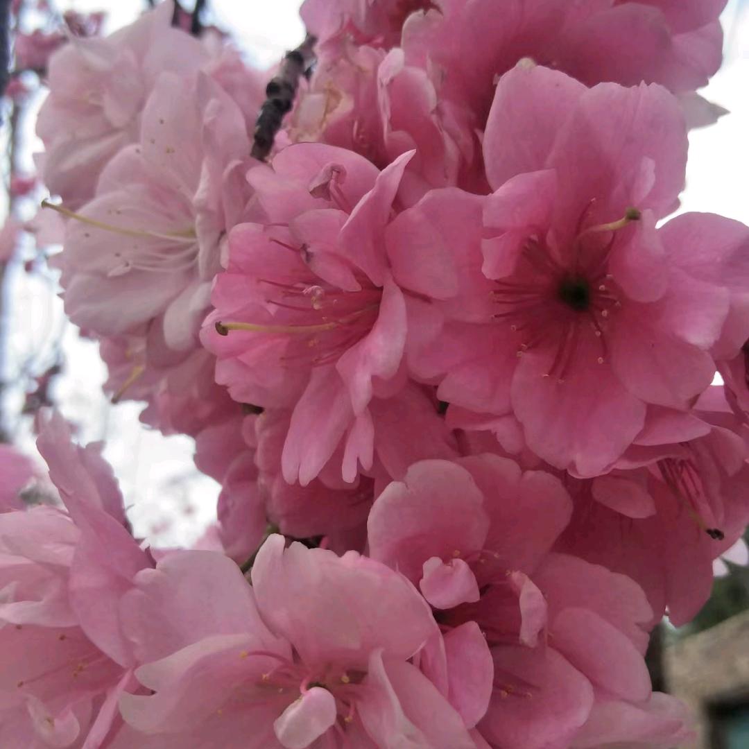 💞余生不将就💞᭄᪲ᩚ꯭ᩚ꧂