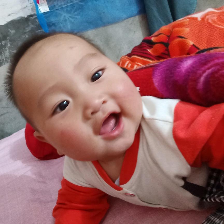 家有小宝贝