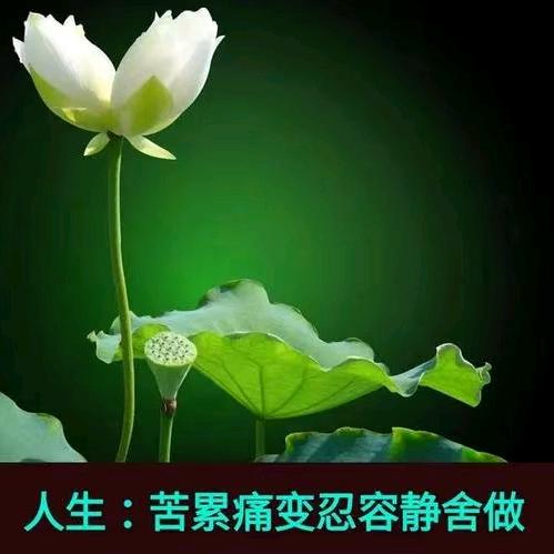 九零后.GT