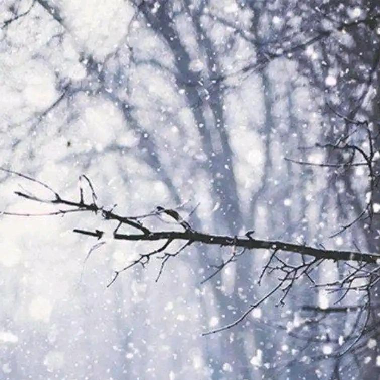 你若不离，我就不弃