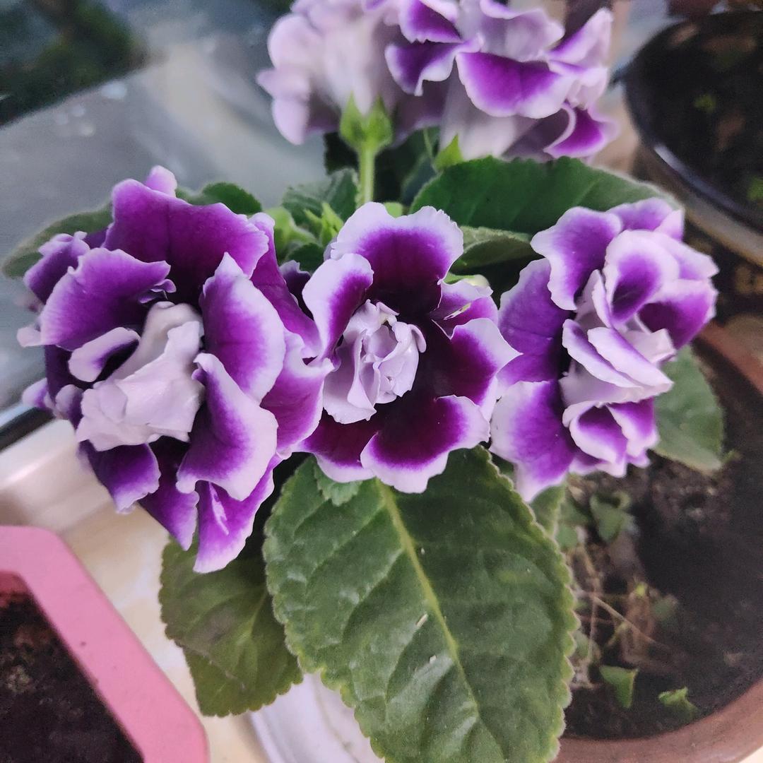 祝福