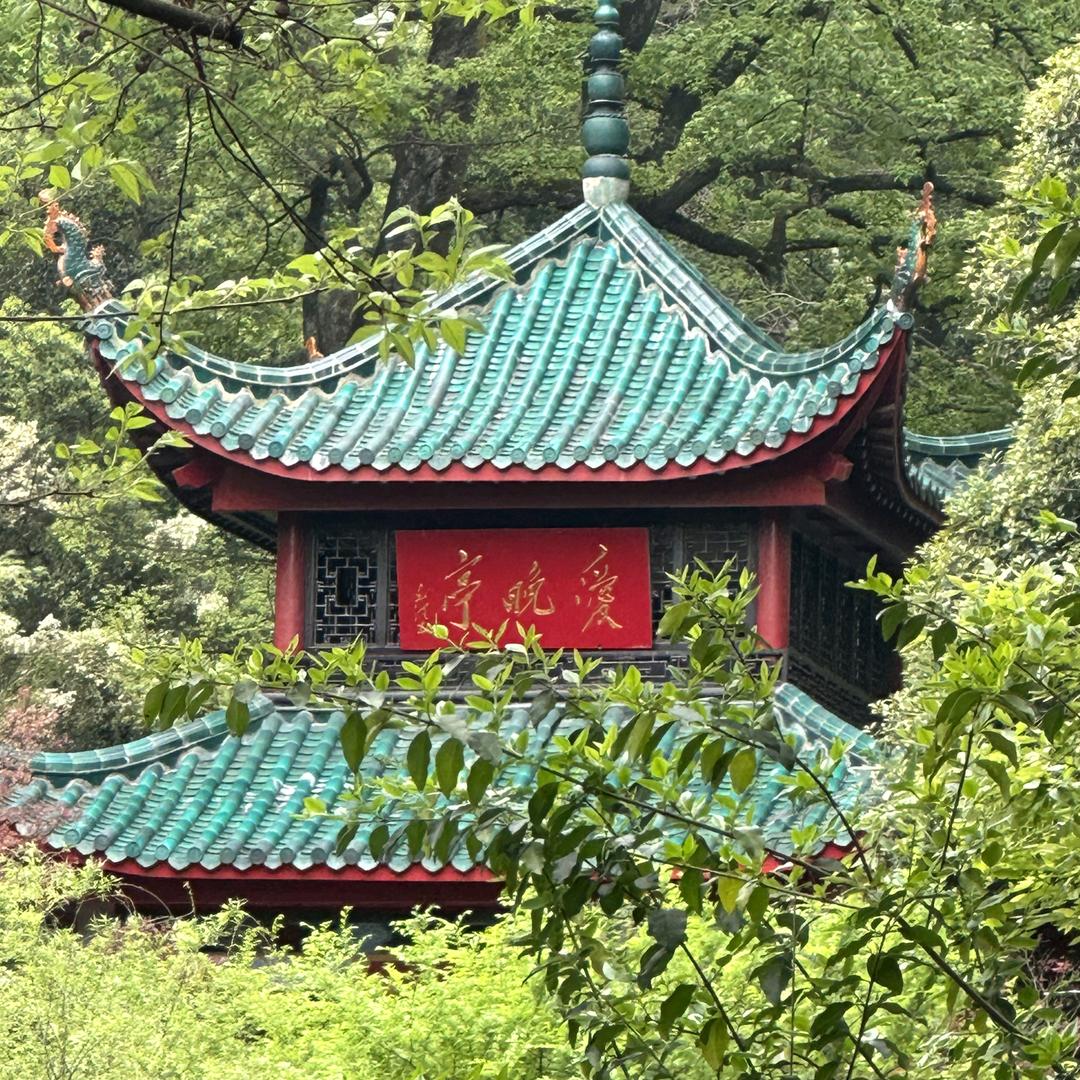 橙&子