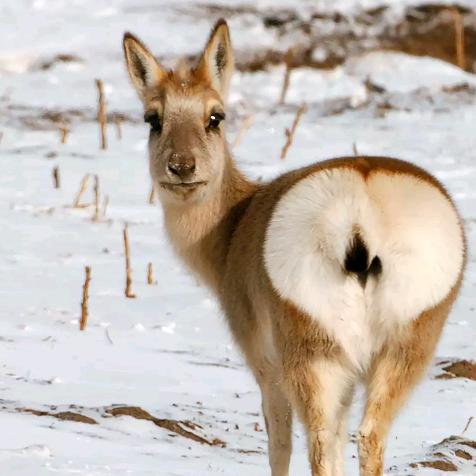 干工程的女装👠👠