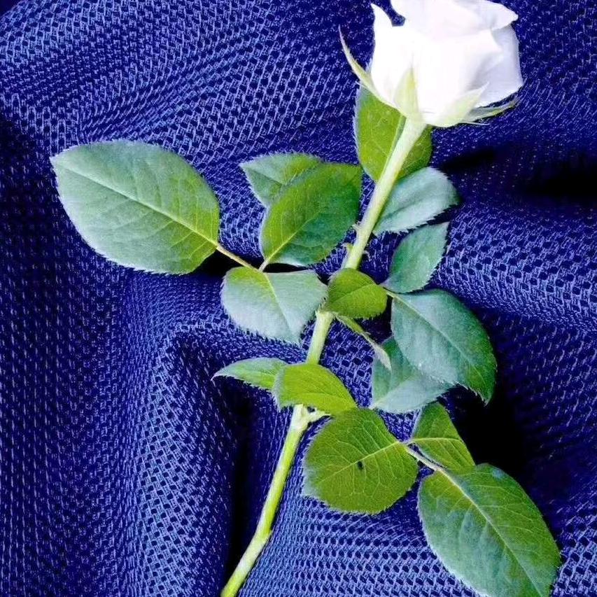 @Mir.Adili.@