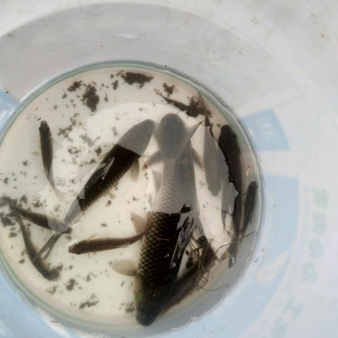 用户4515113848641有你就好