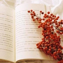苒苒♡生活如此美好
