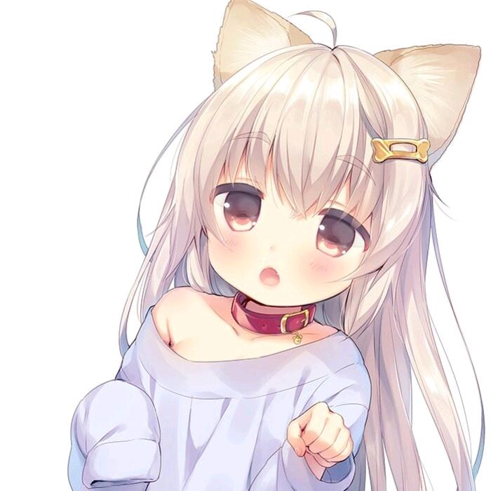 猪子卷