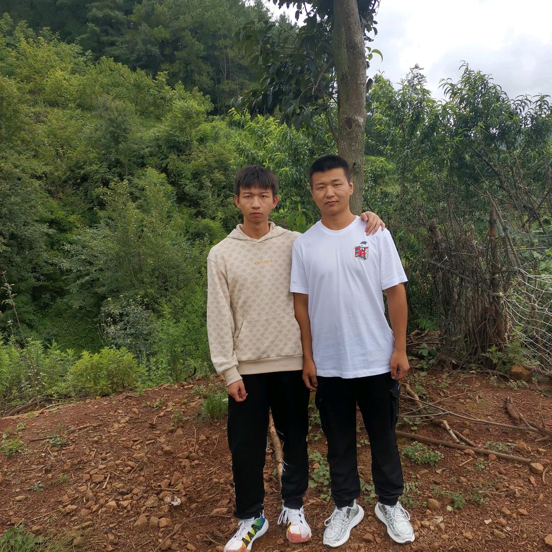 叶子花
