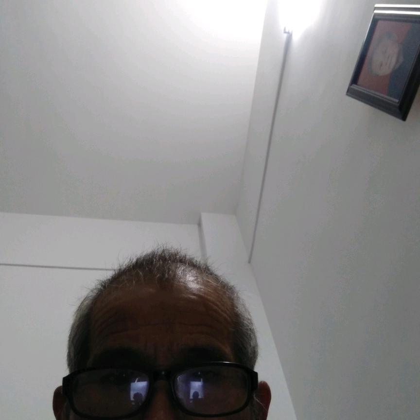 庙会