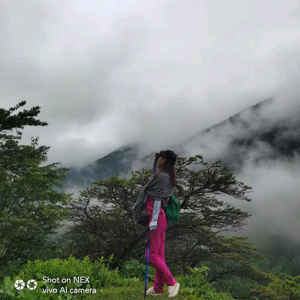 ✌️逆流重生