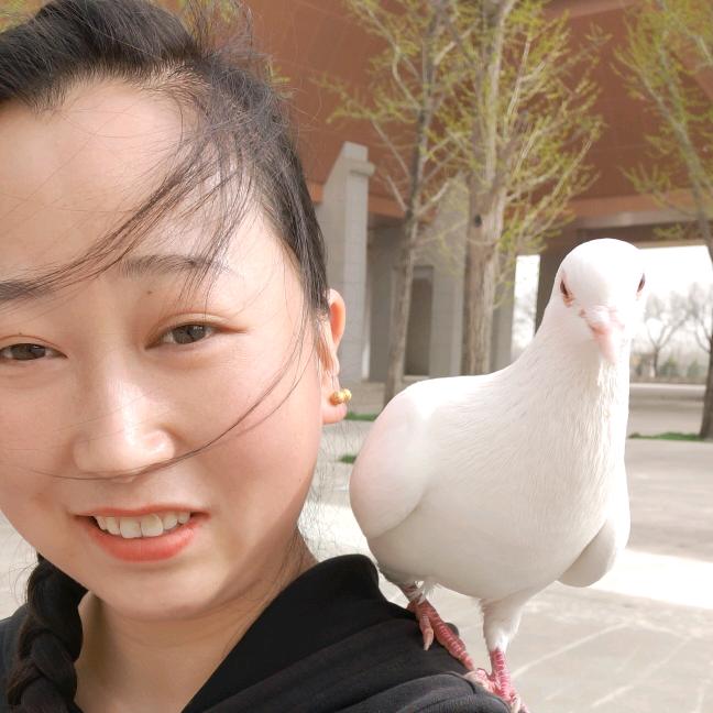 梅梅