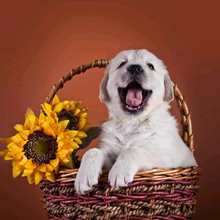 蒋发财来了来了