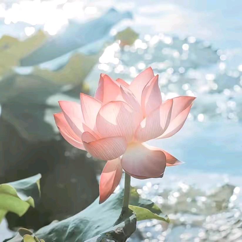 AAA摄像头批发孔总