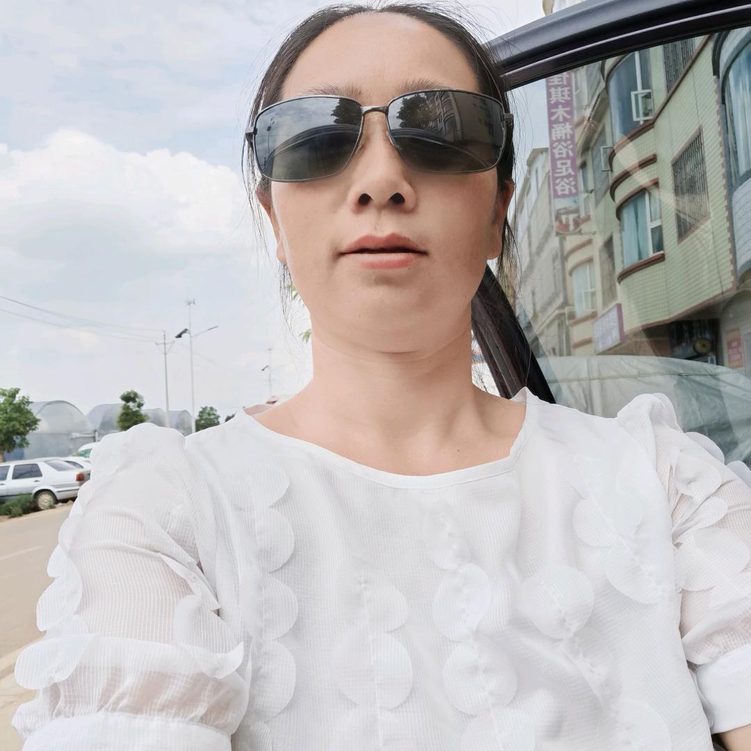 凤姐sDF