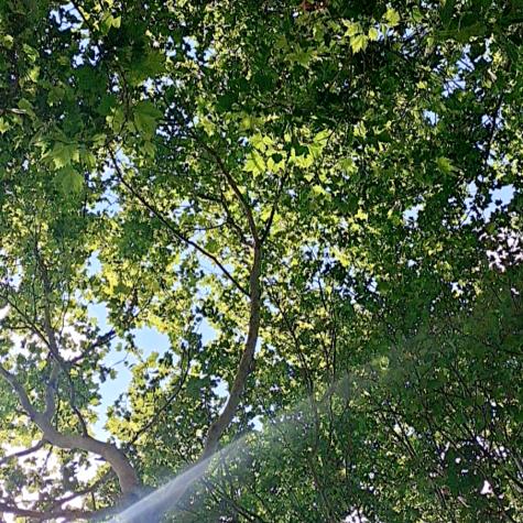 吴桥县精酿啤酒