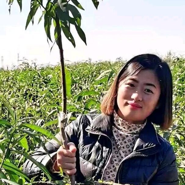 许二木如茵园林果树苗木专卖店